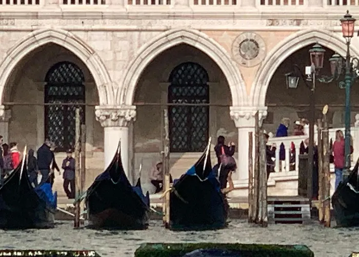 Welcome To Royalclass * 베니스